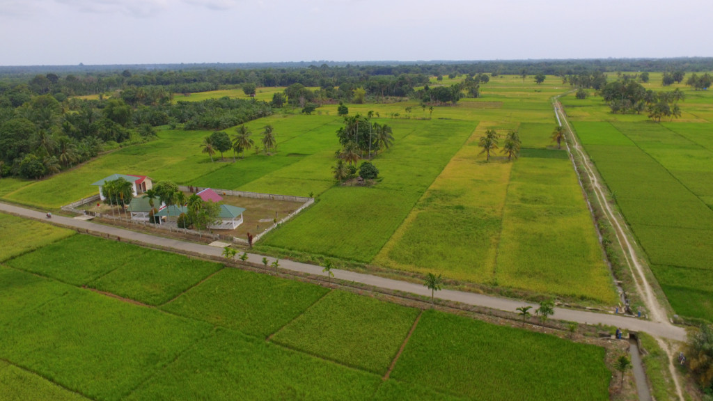 Visual Kompleks Makam Panglimo Rajo Lelo & Area Pertanian Sawah